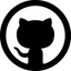 Flow Launcher interface detail